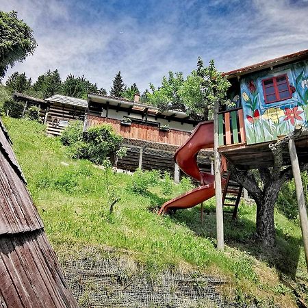 Apartments Mm Muta Екстериор снимка